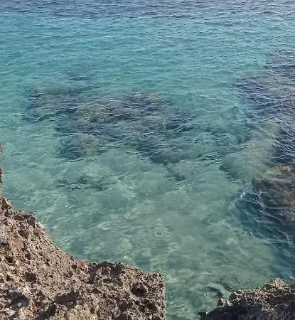 Pesce * Lido Marini