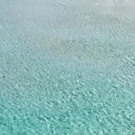 Pesce Lido Marini